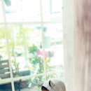 하늘아리 이미지