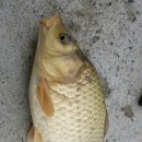 서지제 이미지