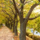 신월동162 이미지