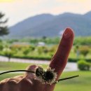 달팽이민박 이미지