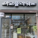 마고플라워 이미지