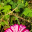 삼성창조캠퍼스 안내센터 앞 이미지