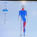 분당-수내-306 | [체형교정PT] 바디밸런스 분당수내 체형교정&amp;PT