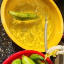 소망건강원 이미지