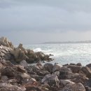 바글바글제주 이미지