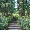 달리오름 이미지