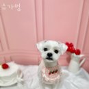 대우미래세탁소 이미지