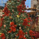 (주)콜로리 이미지