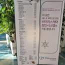 포레스트65 네이버블로그