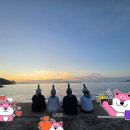 농어바위펜션 | 50대, 인생 2막의 특별한 선택 - 진도 관매도에서 찾은 진짜 여행의 의미