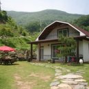 미라실로 이미지