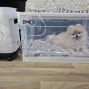 오투산소방 이미지