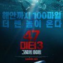 화이트7 이미지