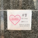 로렐아이래쉬 네이버블로그