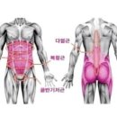 올데이코어