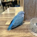 리프패럿시민공원점 이미지