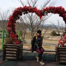 덕하약국 이미지