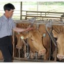 임실명품한우농장 네이버블로그