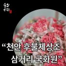 정산공설시장 | 천안 후불제상조 추천 비용 걱정 덜어드린 후기