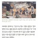 한국강산