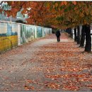 해성농원 이미지