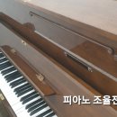 비발디피아노교습소 이미지