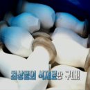 동강민물매운탕 이미지