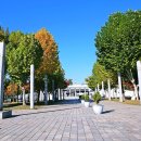 성포예술광장 이미지