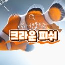 범 아쿠아