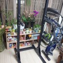 미드브로 이미지