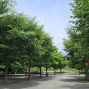 가평가평1087 이미지