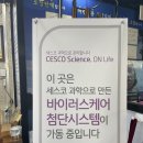 두꺼비PC | 단양 맛집ㅣ자극적이고 중독적인 매운맛이 등갈비. 두꺼비식당