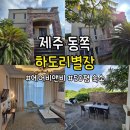 하도리별장 | 제주] 동쪽 가족단체 숙소, 하도리별장 (에어비앤비) 장단점, 시설 후기