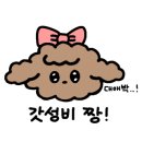 제이몽애견펜션 이미지