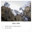 대이점 블루핸즈 | 포항 철길숲 불의정원 1918포레일 전시기차 이색 체험 추천!