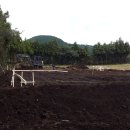 대흘리에 이미지