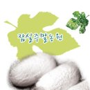 잠실주말농원농촌교육농장