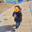 305농장 | 공원 카페 추천 직접 재배한 딸기로 만든 딸기우유케이크 생딸기라떼 하우스커피 리하우스 카페 솔직후기