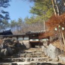 공릉관광지 | 힐링과 즐거움이 넘치는 공릉관광지 체험 후기