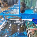 환상의바다리조트D동 이미지