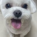 살롱아르르