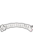 대동로2-L 이미지