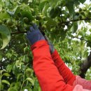 사계절 농장 이미지