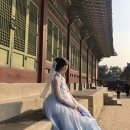 송창은 | 청춘한복아랑 나들이 대여해서 창덕궁/창경궁 단풍구경🍂(핸드폰ver.)