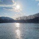 레드브릿지 이미지