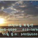 샤인밸리 이미지