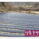 사월농장 이미지