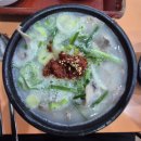 창원 국밥 맛집 중동 장수촌24시돼지국밥 내돈내산 후기