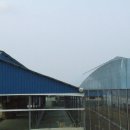 서호목장 이미지