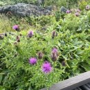 하늘오름마실 이미지